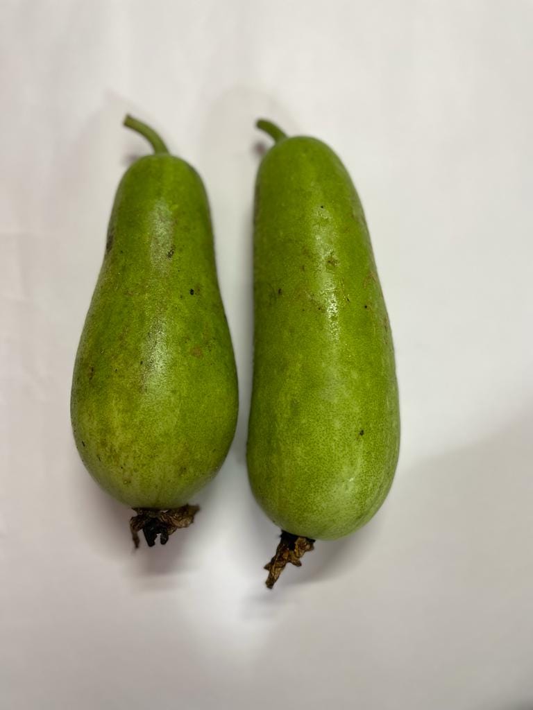 Ash Gourd