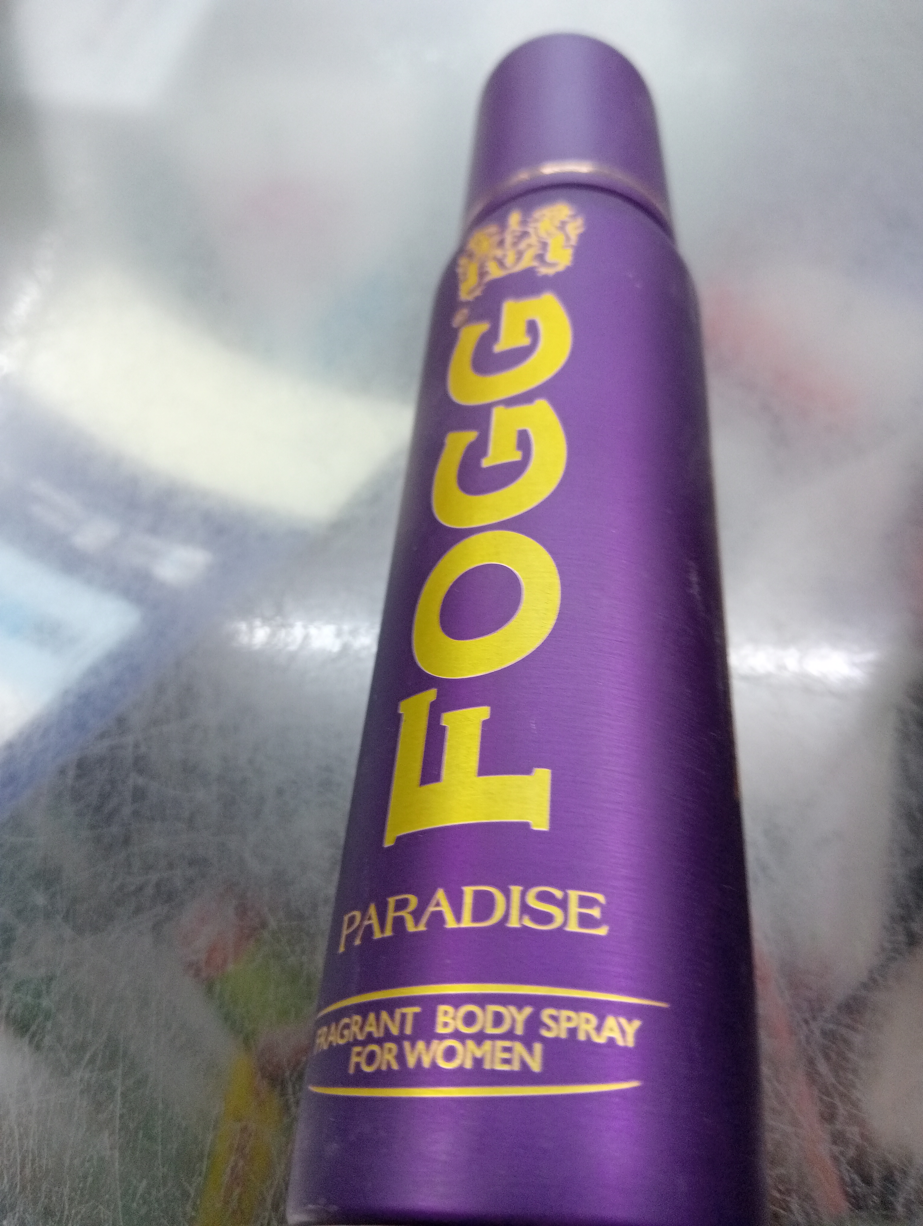 Foog paradise