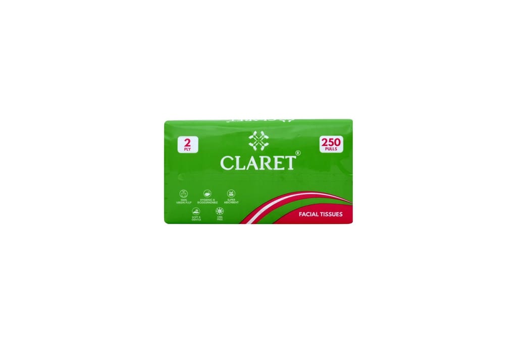CLARET Polypack Facial Tissues - 2 Ply, 250 Pulls (500 Sheets), 18x20 cm, Super Soft, Multipurpose Dry Tissue for Personal Care, Office, Car - Pack of 2 view 2