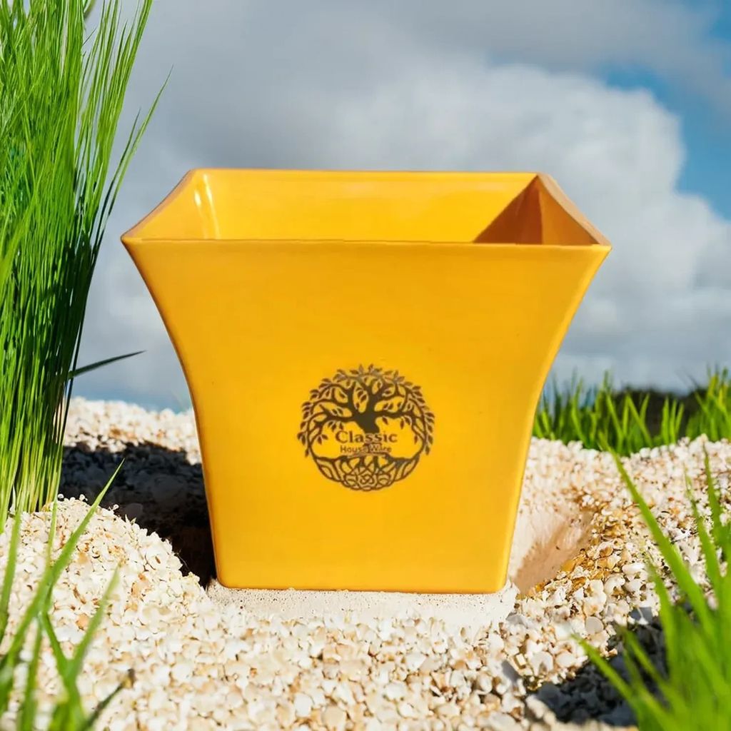 FH-Yellow Classic Pot view 2