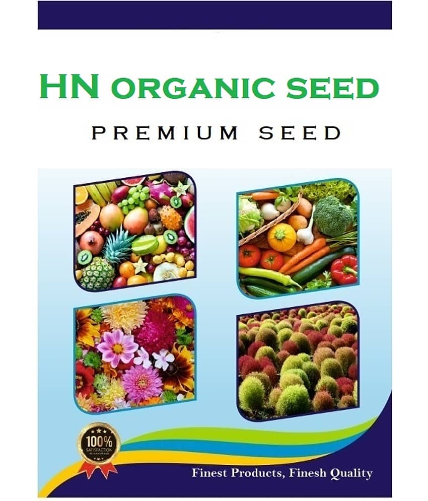 HN organic seed - Dahlia Mixed Flower ( 25 Seeds ) view 2