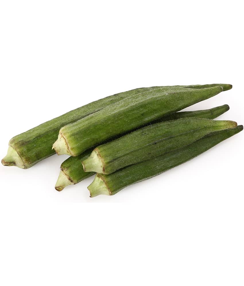 Green India Vegetables Okra/Bhindi Hybrid Seeds - 50 seeds/Pack view 2