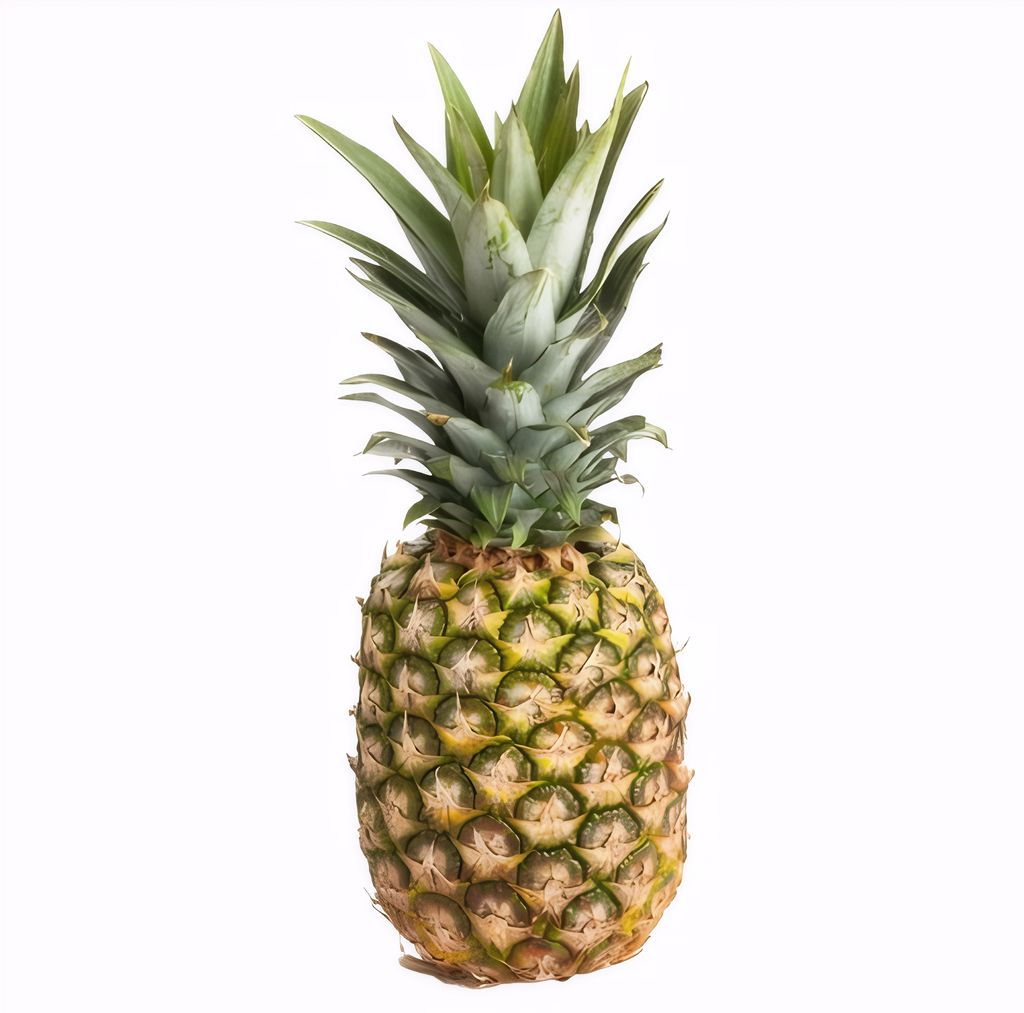 Pineapple view 2