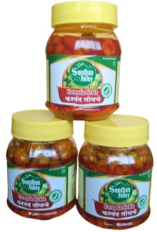 BHIMASHANKAR's HOMEMADE KARONDA PICKLE, 200 gms. view 2