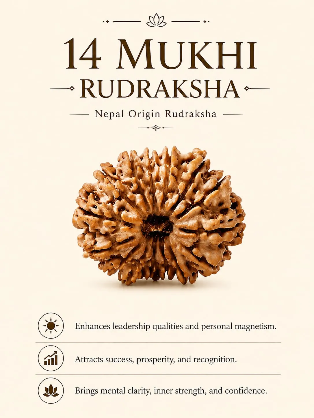 14 MUKHI (18-25 MM) RUDRAKSH NEPAL