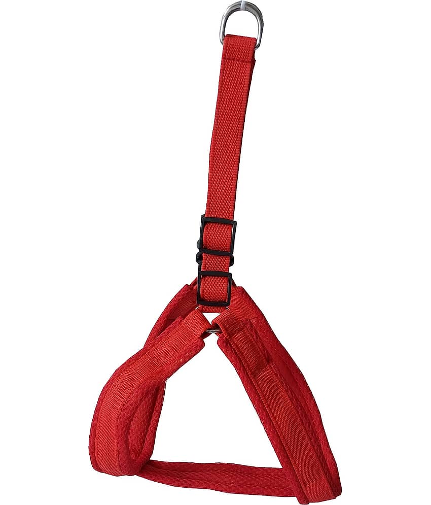 Petshop7 Mesh Padded Nylon Dog Harness & Leash Rope - Medium (Chest Size - 26-37inch) view 2