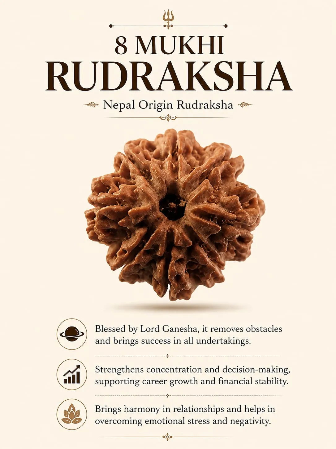 8 MUKHI (18-25 MM) RUDRAKSH NEPAL