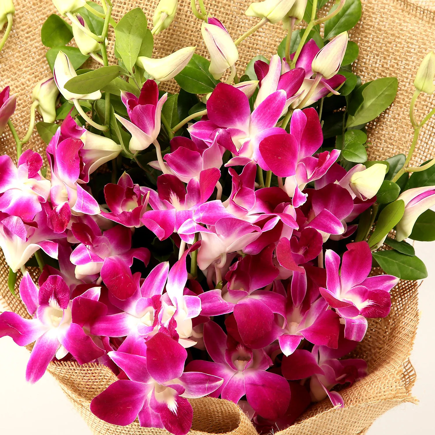 Garden Of Dreams 6 Orchids Bouquet view 2