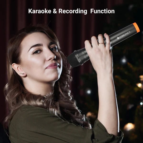 Zebronics Vigor Plus Wireless Speakers view 2