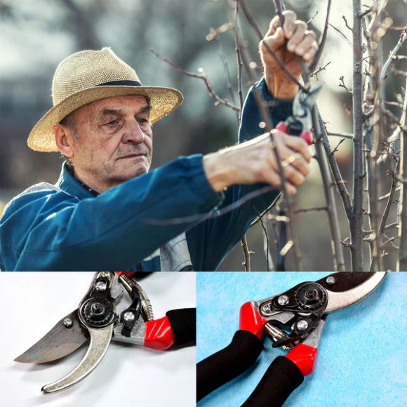 Red GARDEN SHEARS SHARP CUTTER PRUNERS SCISSOR, PRUNER (21Cm) view 2