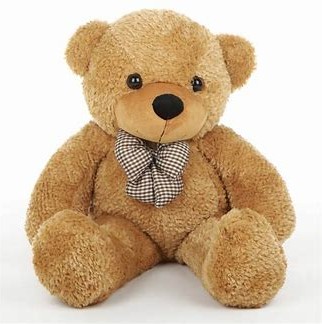 Teddy bear view 2