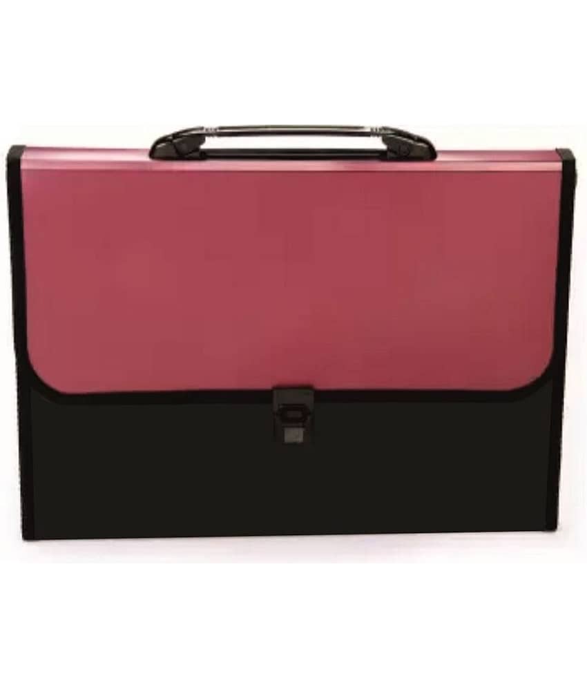 RAVARIYA GRAPHICS Expanding File Folder, Letter Size (Fits A4 Paper) - Red - with 13 Pockets view 2