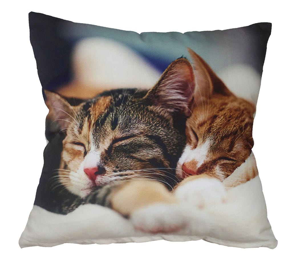 AIRWILL Cotton CAT Design 3D Printed Square Shape Cushions Covers (40x40 cms, Multicolour) - Pack of 5 view 2