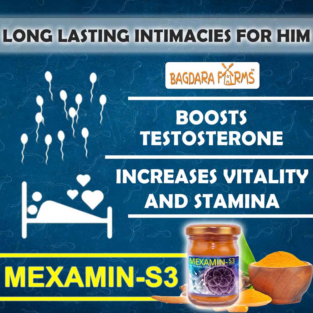 Mexamin-S3 view 2