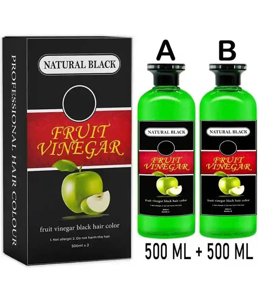 WRIXTY Fruit Vinegar Hair Dye Gel Black 500ml Instant Smooth Hair Natural Shine Long Lasting Easy Apply
