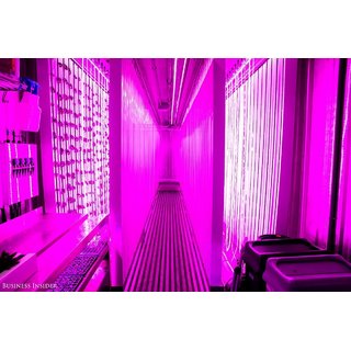 Snap Light 5 Meter Waterproof PINK LED Rope Ganapati, Durga Pooja Diwali Christmas Decoration view 2