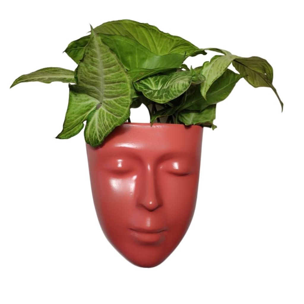 DZIGN Hanging Wall Planter, Face Planter, Balcony Planter, Wall Hanging Indoor Planter, Outdoor Planter, Head Planter for Home Decor and Garden Hanging. Orange Male Face Planter Pack of 1. view 2
