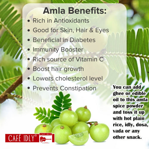 Amla Spice Dry Chutney Powder, 100 gm view 2