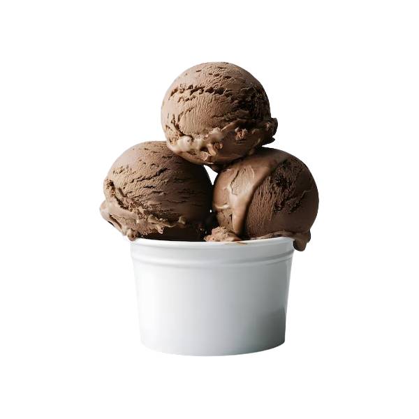 Premium Ice Cream Tubs Chocolate (500 ml)