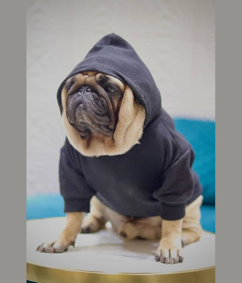 Baeship Studio Black Cotton Dog Large Jacket