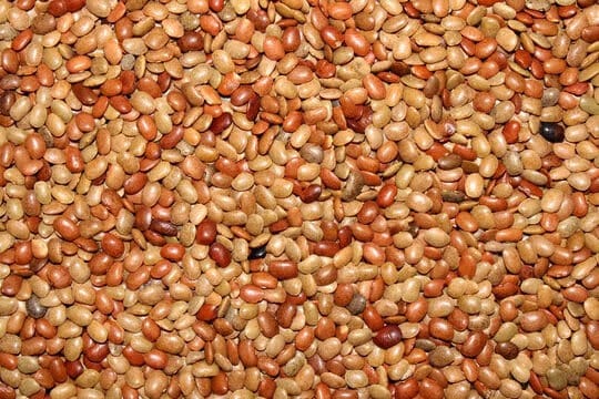 Honneru Farmers Producer Company Limited - Horse Gram, 1 kg view 2