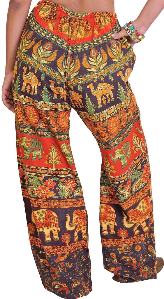 Seal-Brown Casual Trousers from Pilkhuwa with Printed Elephants view 2