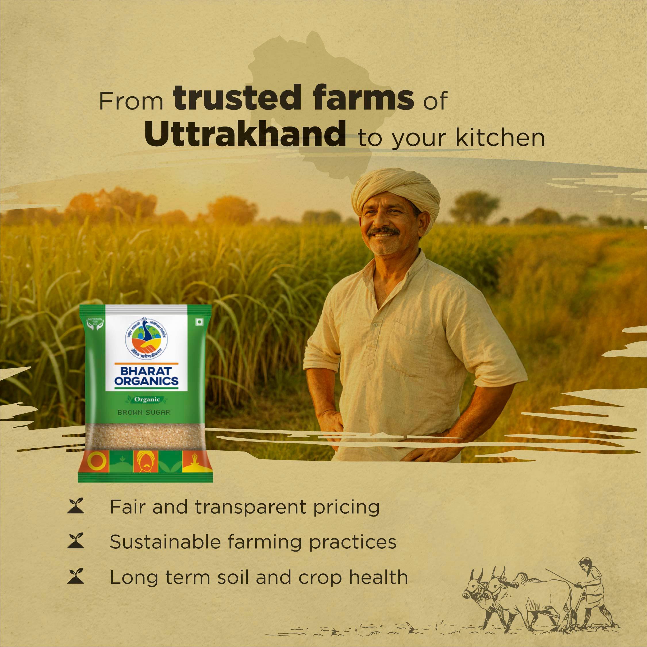 Organic Brown Sugar - Bharat Organics view 2