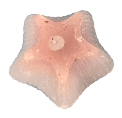 Unique Star Shape Candle | Hand Poured Soy Wax Candle | Pink | Home Decor | view 2