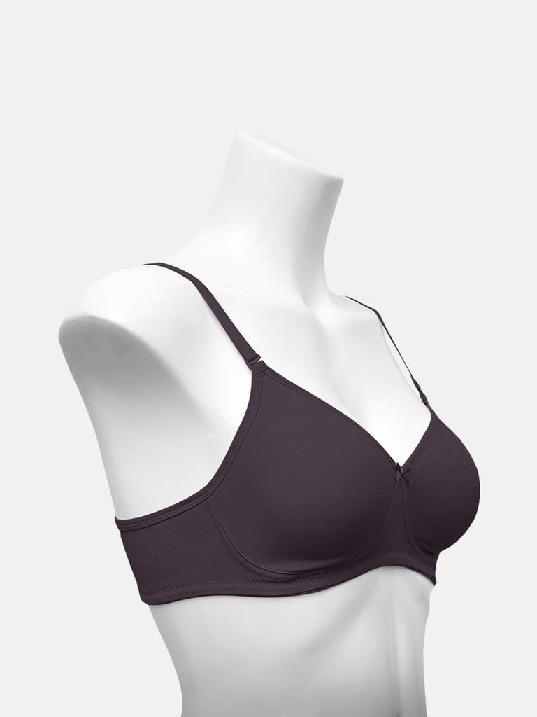 Women Zara Bra Maroon Color view 2