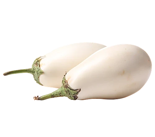 White Brinjal