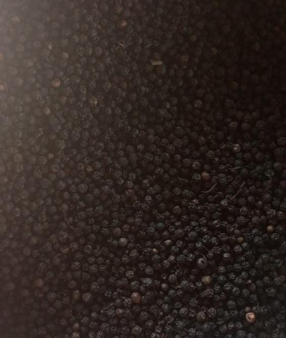 Black Pepper view 2