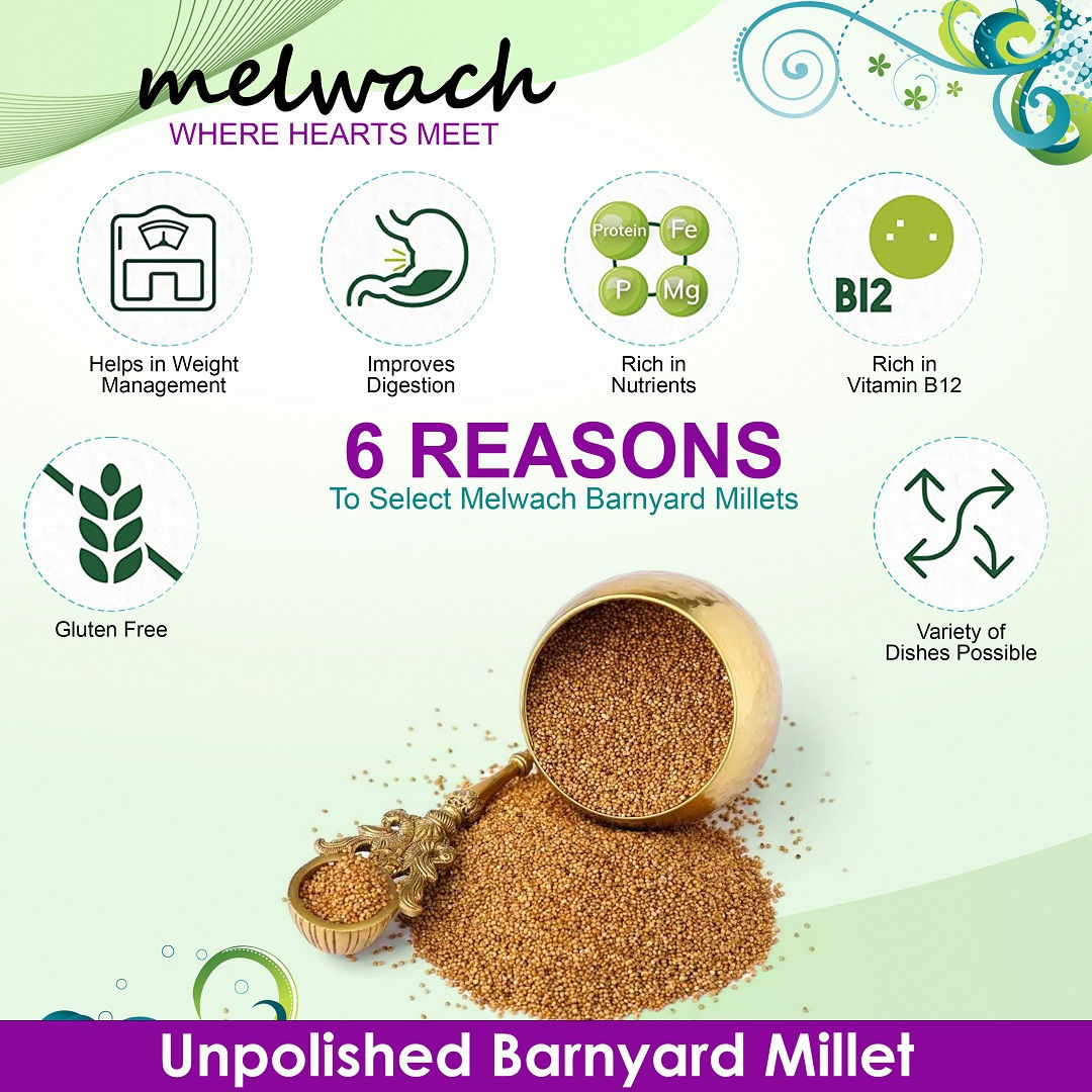 Foxtail Millet, 500 gm view 2
