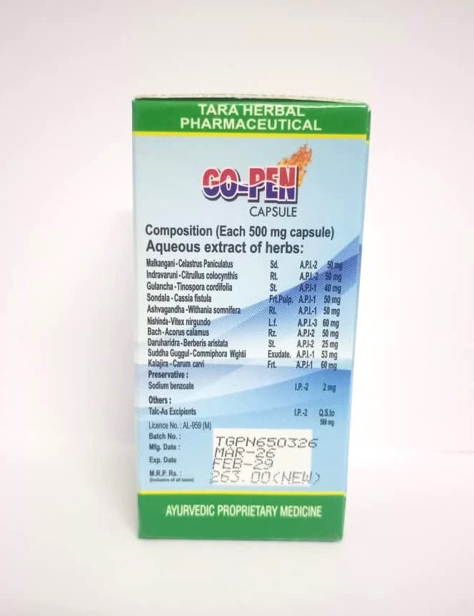 GOPEN CAPSULE view 2