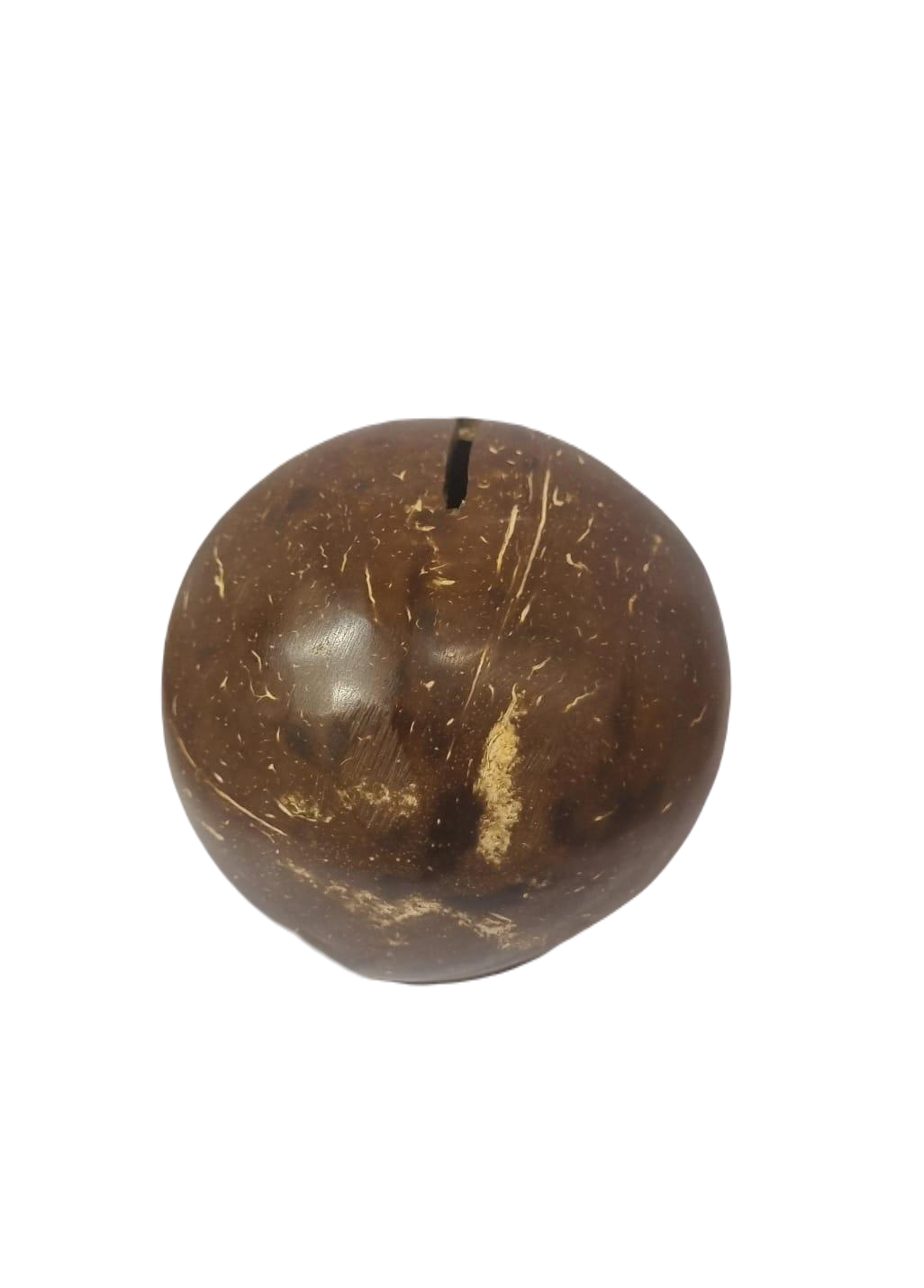 Coconut Piggy/Savings Bank