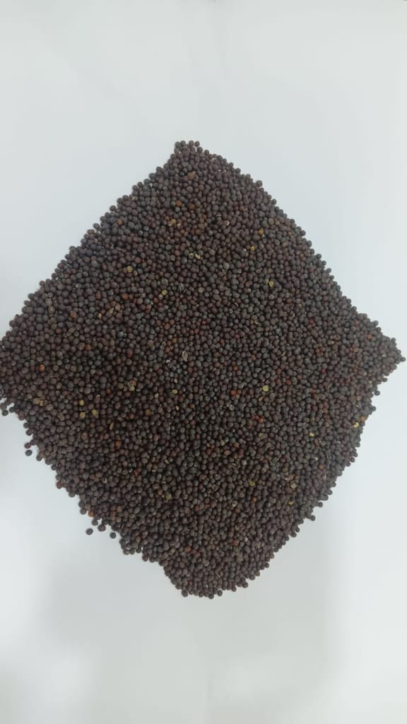 Mustard view 2
