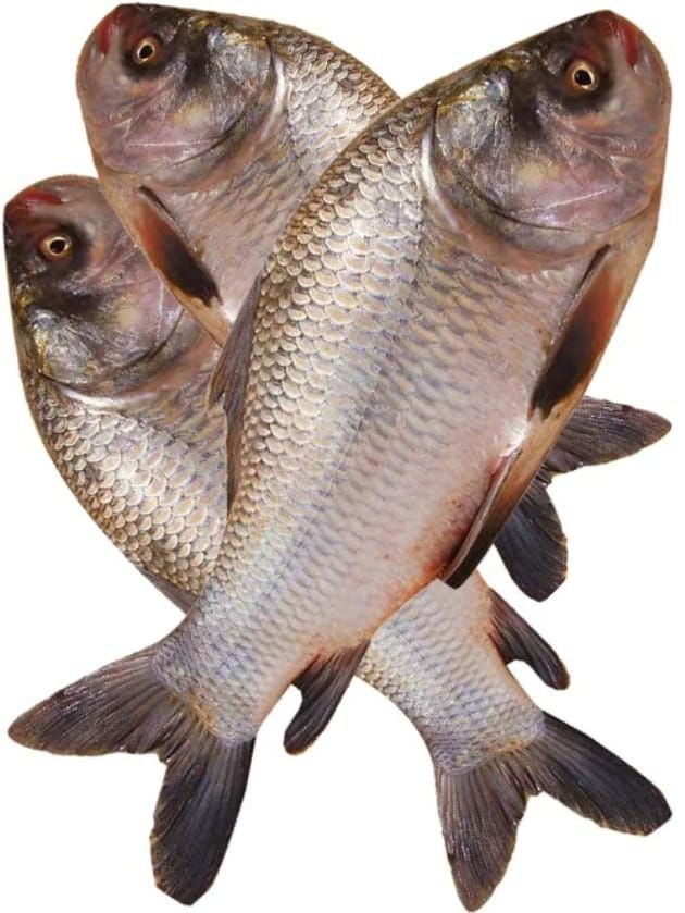 Manjulamma - 45 kg