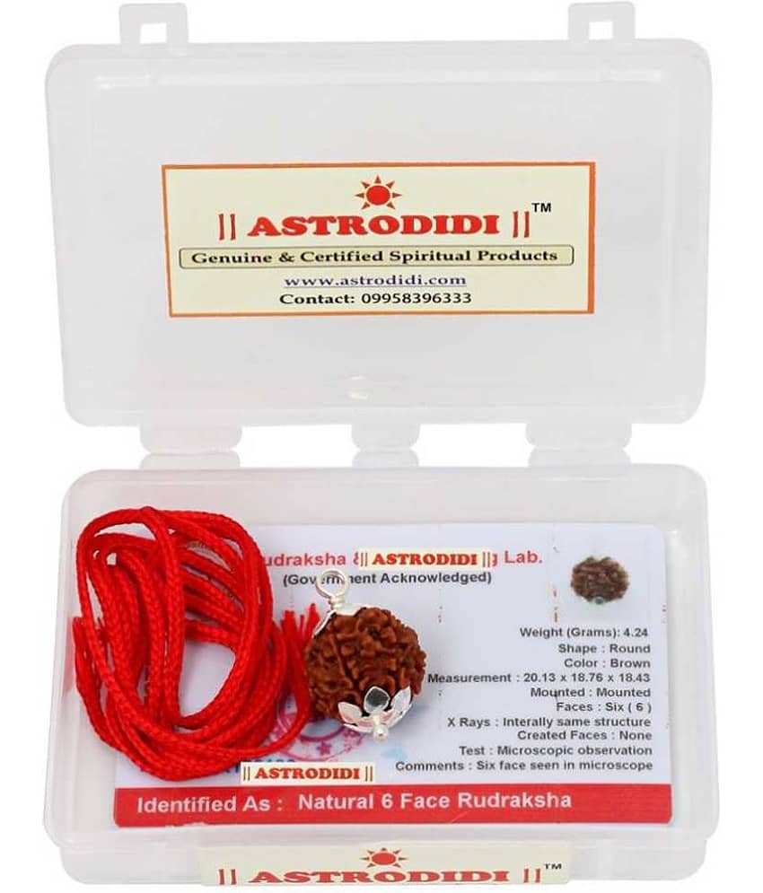 Astrodidi 6 Mukhi Rudraksha Silver Pendant With Lab Certificate view 2