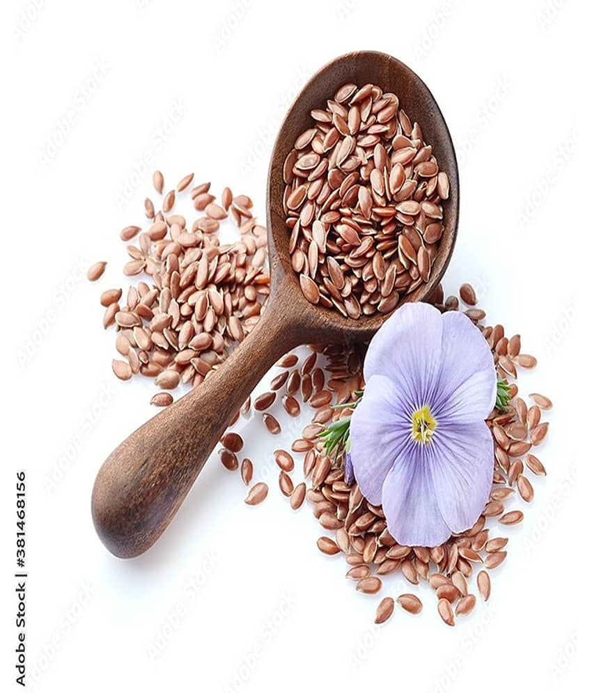 MYGODGIFT Flax Seeds | Alsi Seeds For Eating | Flax Seeds For Weight Management 200 gm view 2
