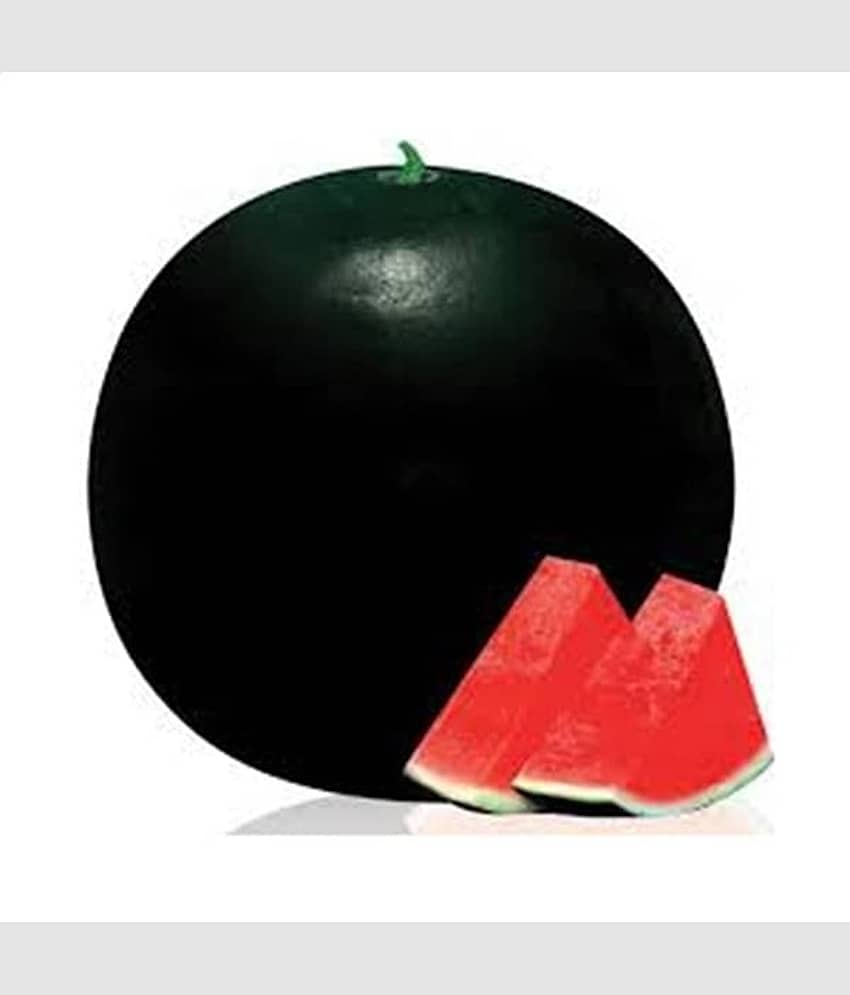 PARTHVA SEEDS Black Watermelon Fruit ( 50 Seeds ) view 2