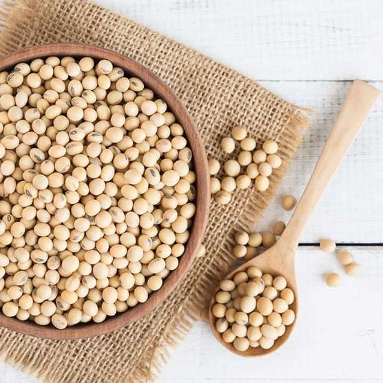 soybean view 2