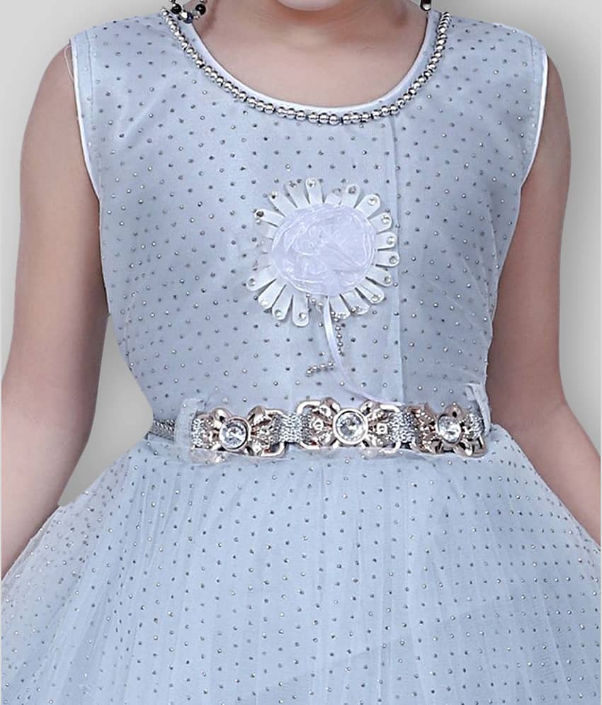Arshia Fashions Net For Girls ( Pack of 1 , Blue ) view 2