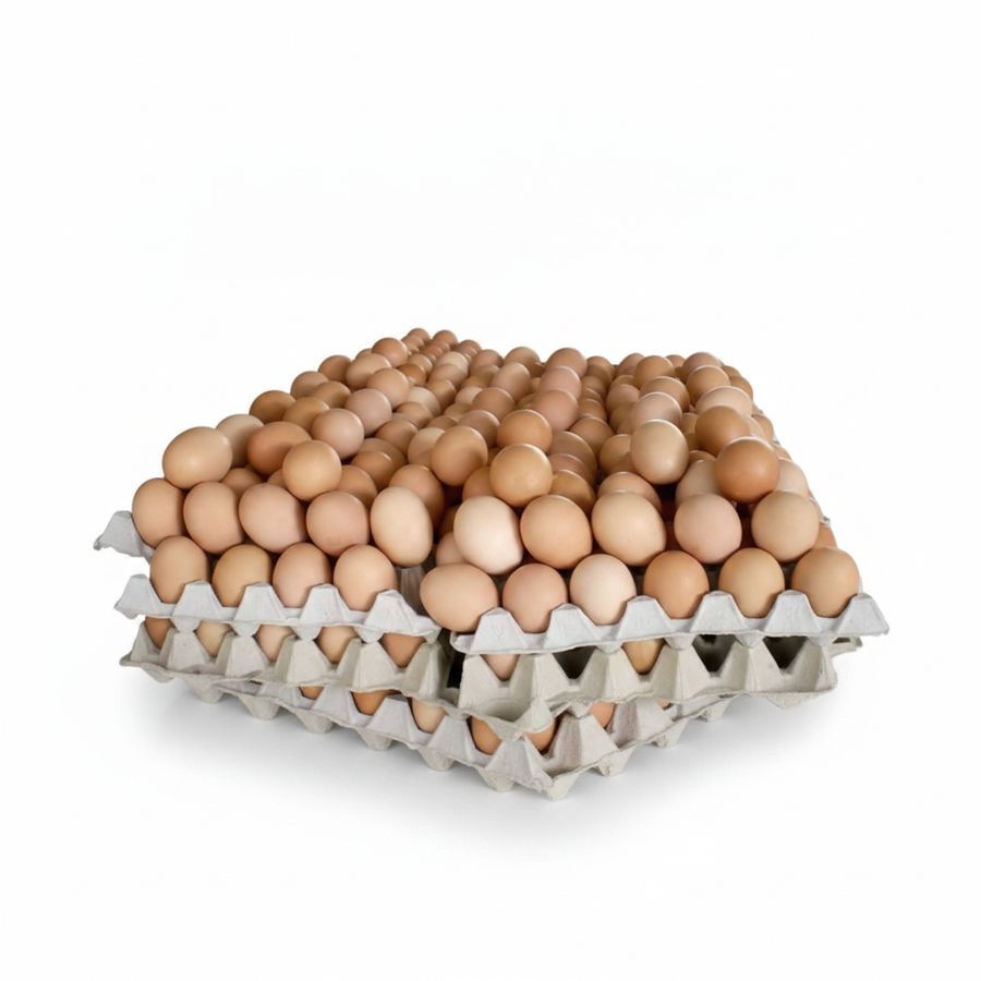 Farm Fresh Chicken Eggs - 30 gm - One single unit view 2