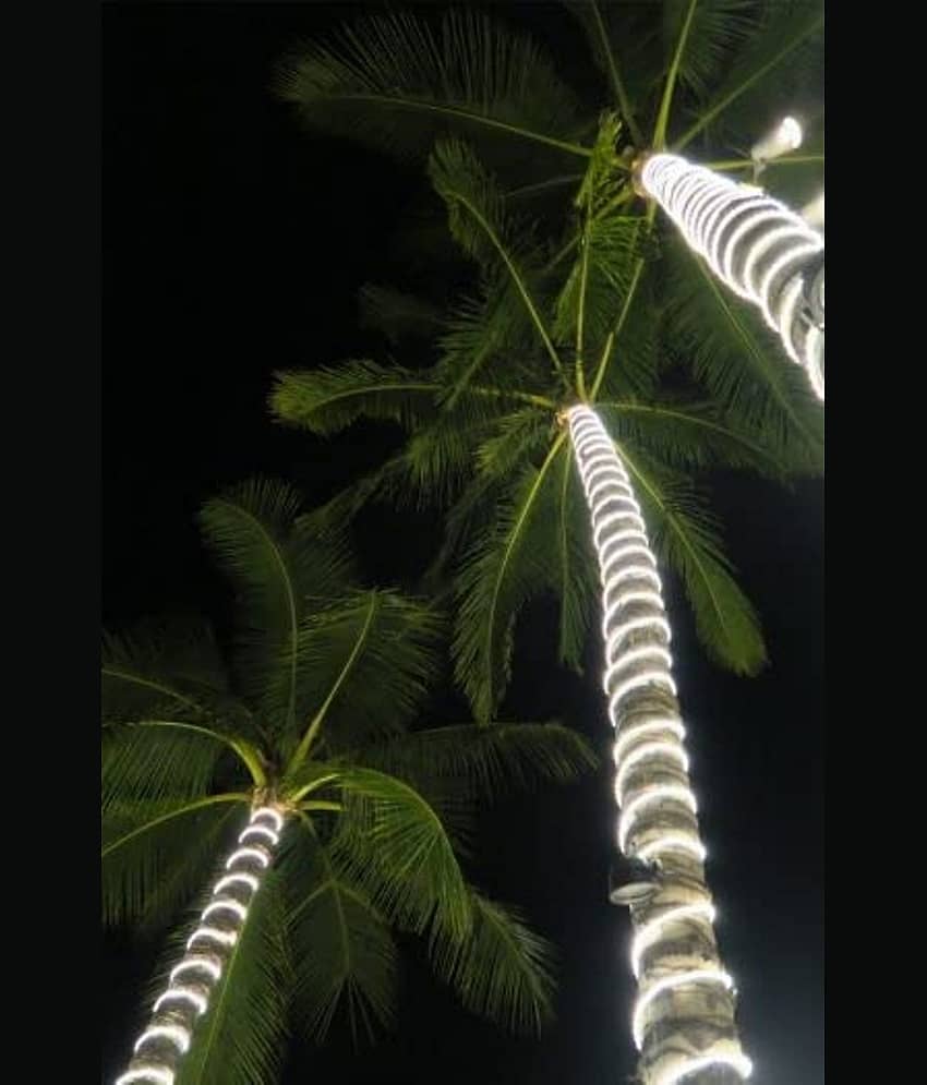 DAJUBHAI - Green 15Mtr LED Strip ( Pack of 1 ) view 2