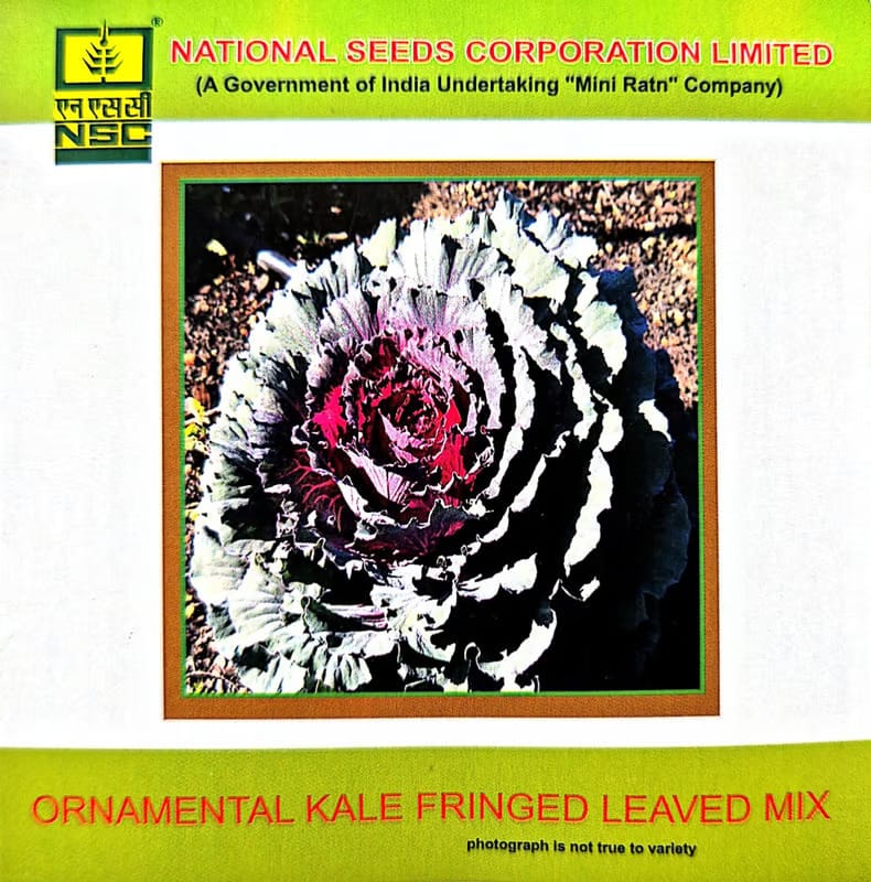 NSC Ornamental Kale Fringed Leaved Mix-3gms
