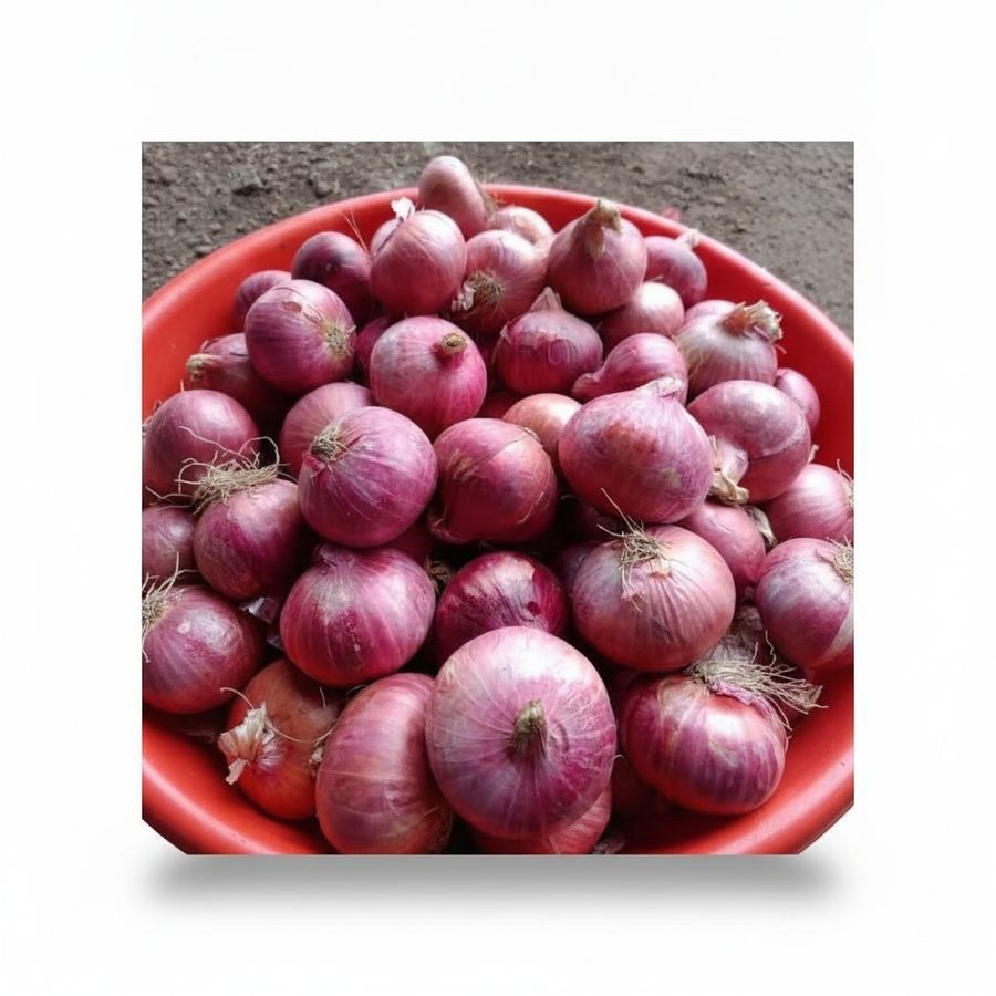 Fresh Red Onions - 20 kg - One bowl of fresh red onions view 2