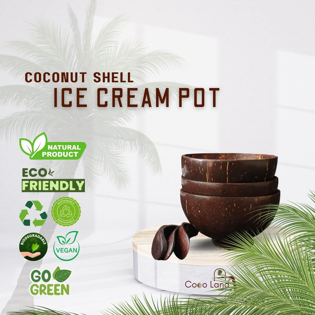 CocoLand Coconut Shell Ice Cream Pot Large Size 250 ml view 2