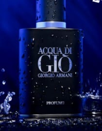 Armani Acqua Di Gio Profumo Eau de Parfum for Men 100ml – Fresh & Aquatic Woody Fragrance view 2