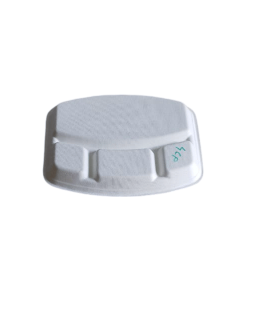 "Biodegradable Disposable 3 Compartment Foam Plate | Eco-Friendly Dinnerware"pack of 10 view 2