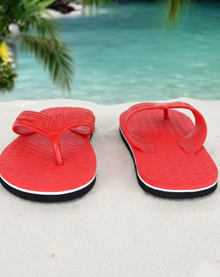 RED SLIPPER {CH} view 2