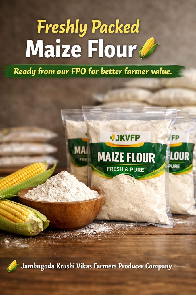 Maize Flour view 2